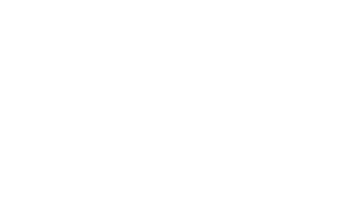 The Wall Street Journal